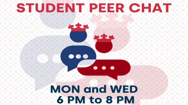 Student Peer Chat